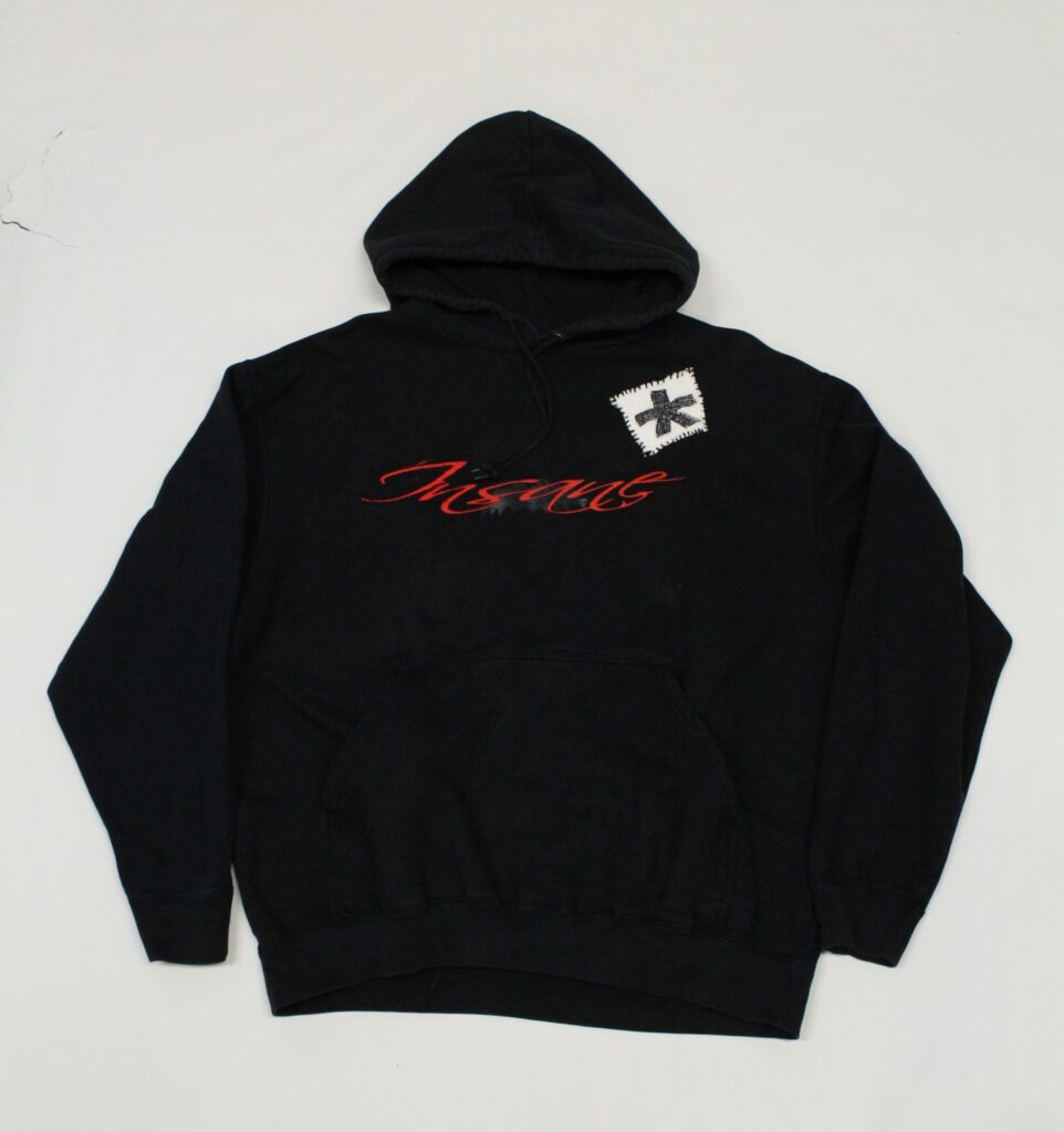 staying insane* hoodie