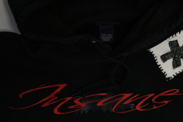 staying insane* hoodie