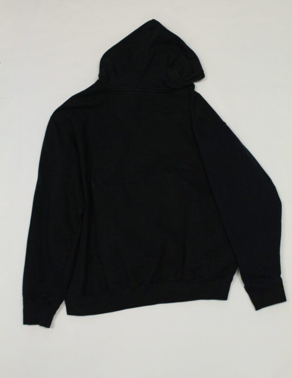 staying insane* hoodie