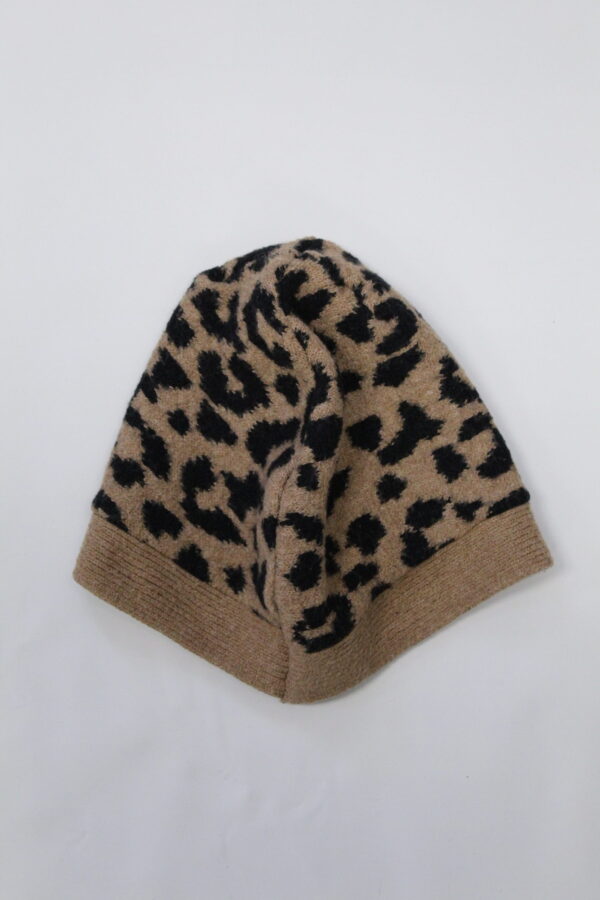 IMG_1107 ch33t8h beanie