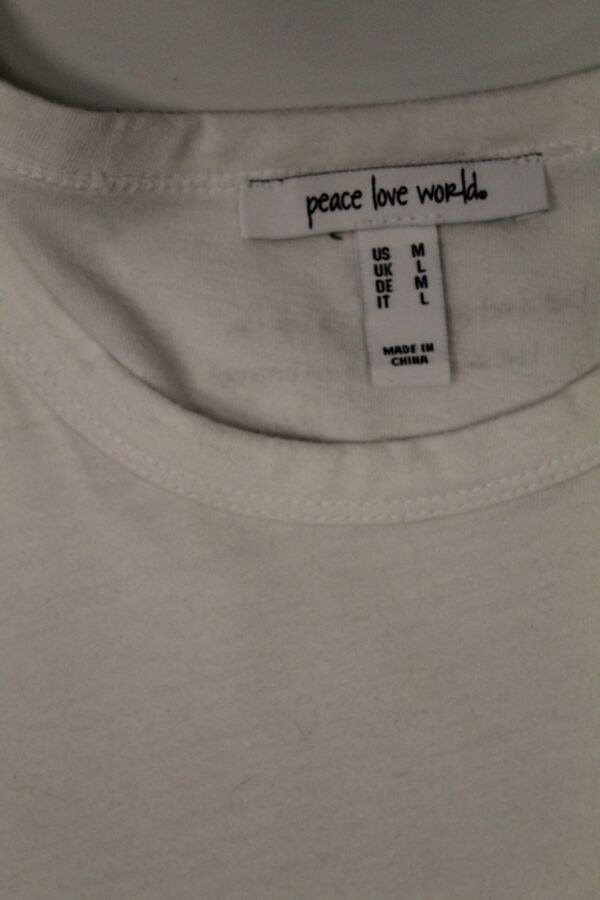 IMG_1862 love is something you become. dtbg tee