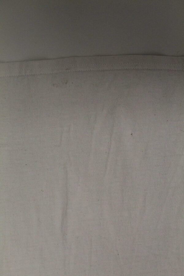 IMG_1907 isawaliensabovemtshasta t-shirt