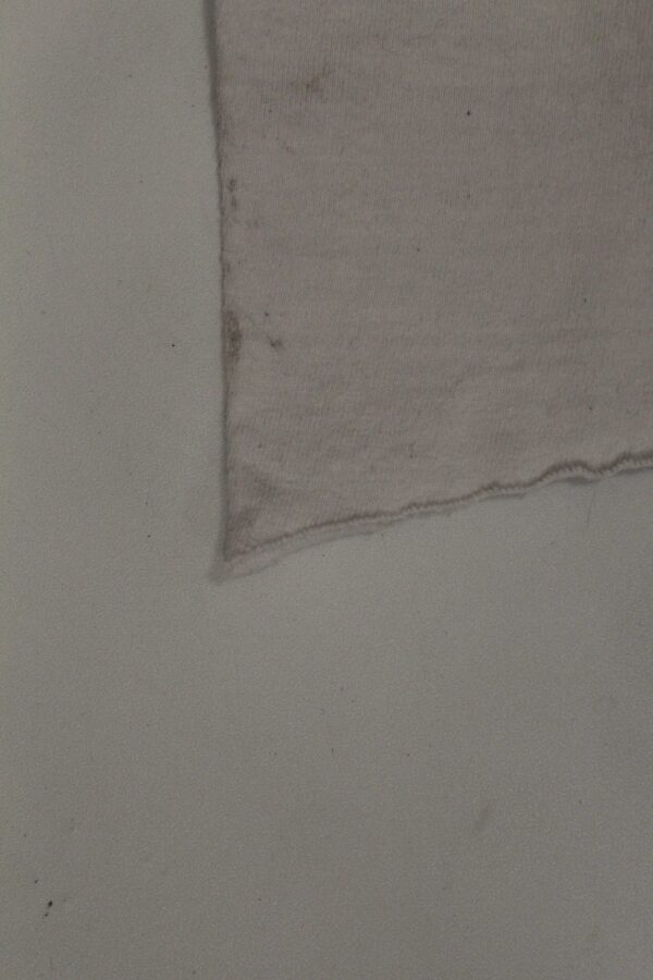 IMG_1908 isawaliensabovemtshasta t-shirt