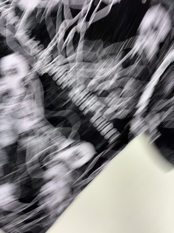 018 chaos crop