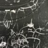 018 chaos crop