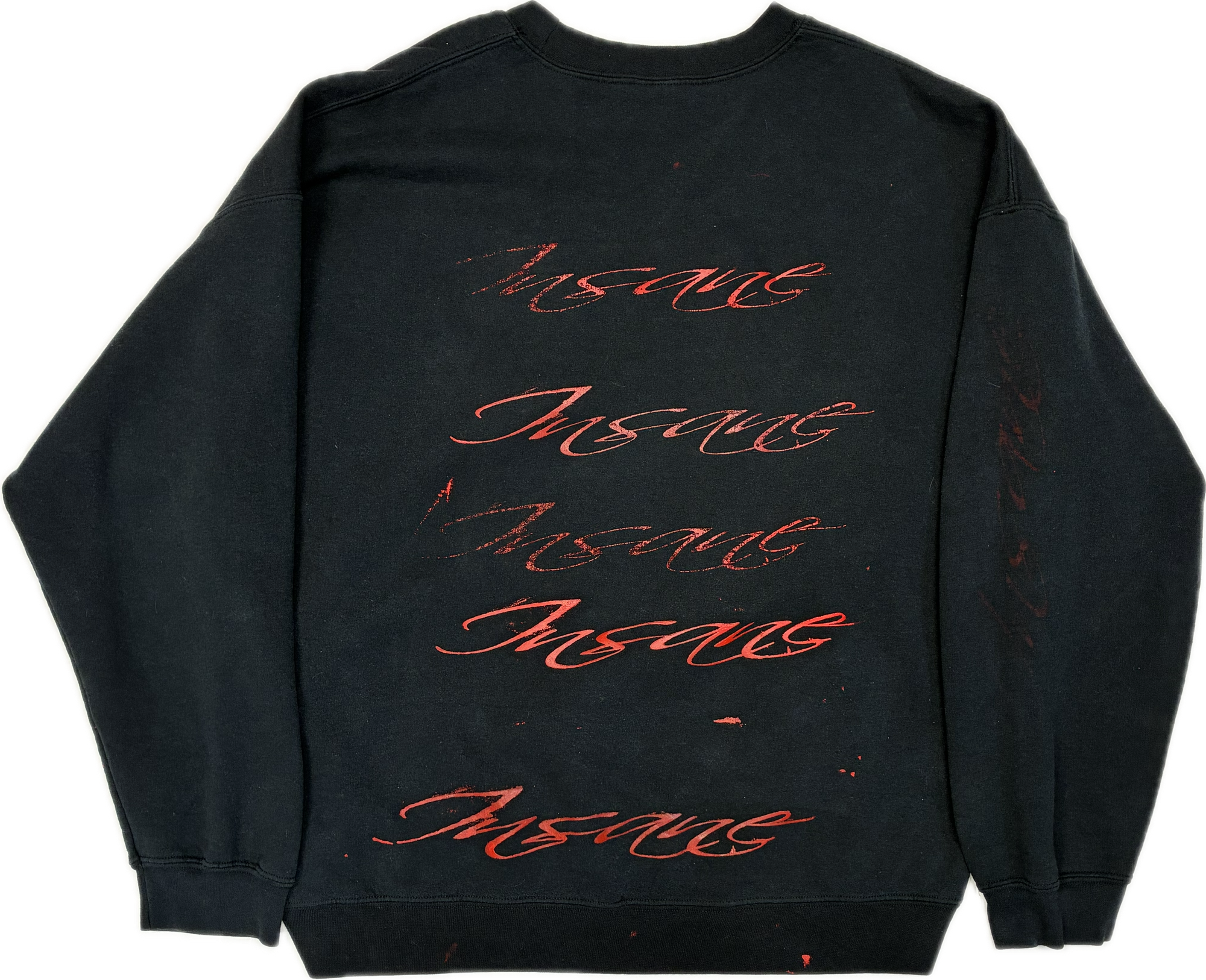 psychotic metempsychosis insane in sanctity